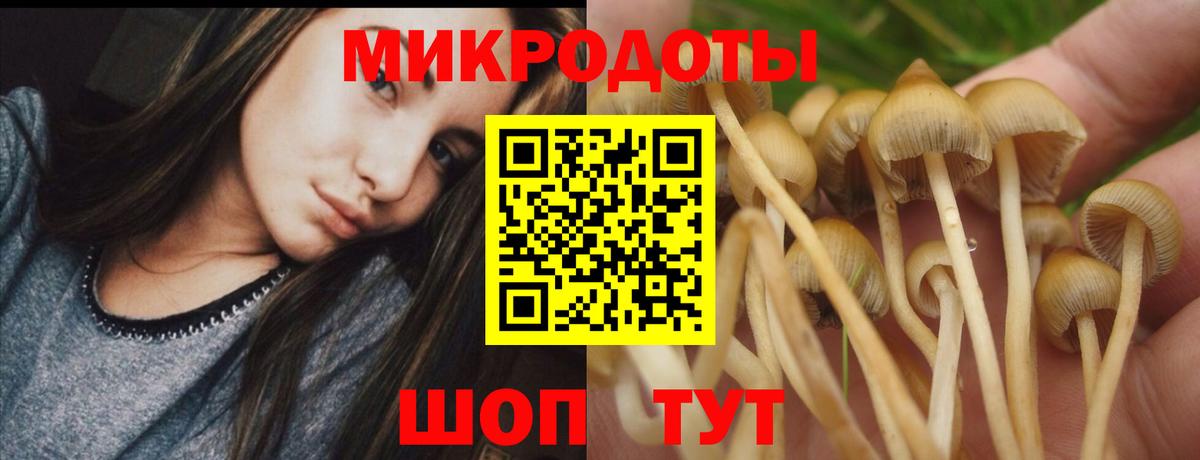 Жигулёвск  Галлюциногенные грибы MAGIC MUSHROOMS  Вход с VPN 